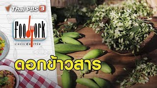 ดอกข้าวสาร : Foodwork [CC] (9 ก.พ. 63)