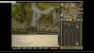 lvl 3 clue scroll reward