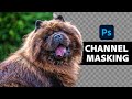 Insanely Difficult Selections MADE EASY with Alpha Channels in Photoshop