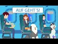 Fliegen mit Hund, in der Kabine, PSD,ESA,Hundeschule, Onlinehundecoach