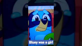 (for toy caboodle) the truth of bluey #shorts