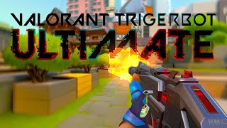 Valorant Ultimate Triggerbot V5 2024 How To Install Tutorial By