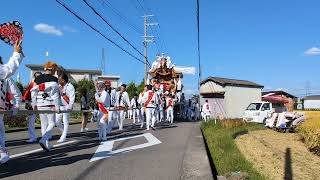 【HD高画質】須賀 だんじり 南河内だんじり祭 錦織神社 令和6年 2024年‎10月‎12日