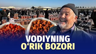 O‘zbekistonning eng yirik o‘rik bozoridan reportaj