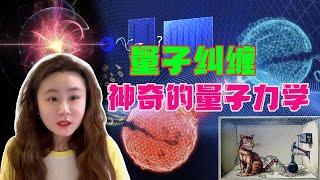 爱因斯坦真的错了！2022年诺贝尔物理学奖是量子纠缠！量子纠缠是个啥？十分钟看懂量子力学的秘密...带你读懂薛定谔猫，双缝干涉实验！