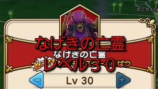 【ドラクエウォーク　強敵】なげきの亡霊　レベル３０　攻略　竜神王のつるぎ　試し斬り！