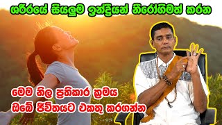 ශරීරයේ සියලුම ඉන්ද්‍රයන් නිරෝගිමත් කරන මෙම නිල ප්‍රතිකාර ක්‍රමය ඔබේ ජීවිතයට එකතු කරගන්න yoga sinhala