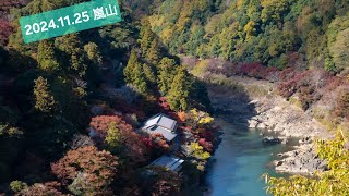 京都走走-楓葉嵐山 ( 天龍寺｜竹林小徑｜嵐山公園｜常寂光寺｜天龍寺)