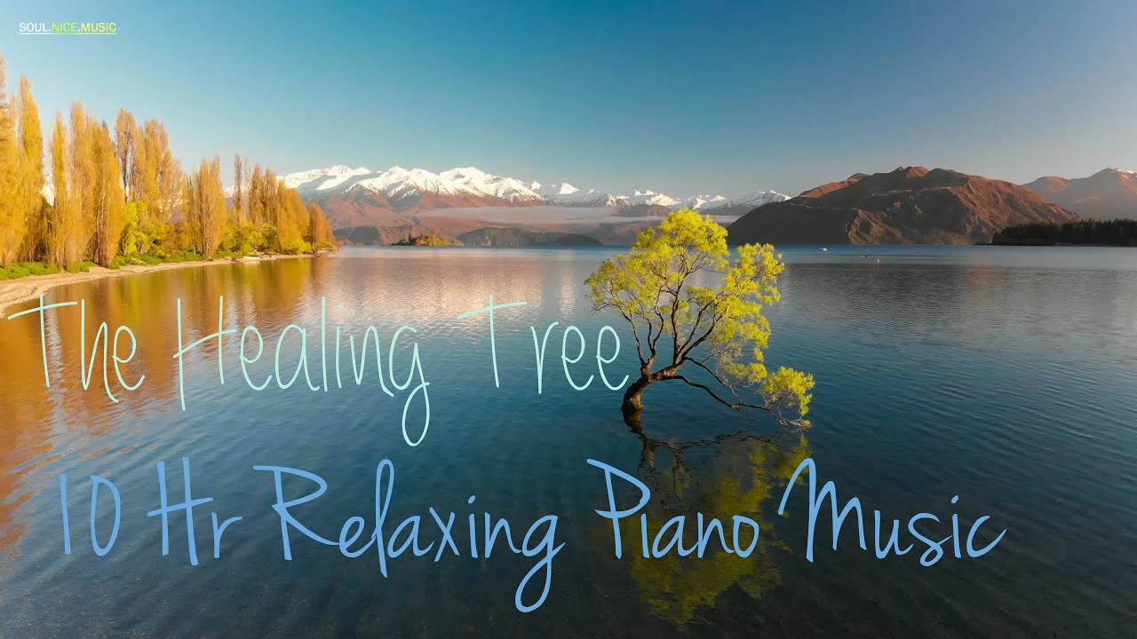 The Healing Power Of Trees 10 Hour Of Relaxing Trees Healing Piano