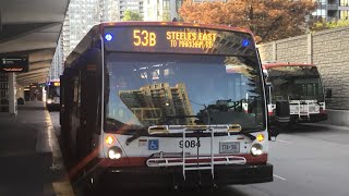 TTC 9084 on route 53B Steeles East to Markham Rd