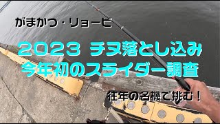 #TEAM波止歩っ歩 ２０２３ チヌ落とし込み・ヘチ釣り 今年初の湾奥スライダー動画