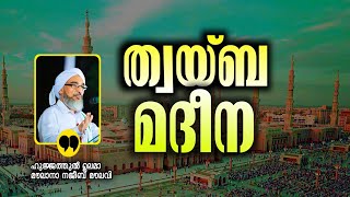 ത്വയ്ബ മദീന.. ഹുജ്ജത്തുൽ ഉലമാ മൗലാനാ നജീബ് മൗലവി. Najeeb moulavi