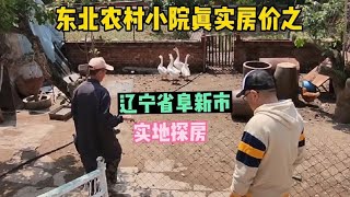 辽宁省阜新市农村，农家小院真实房价，实地探房以买房子身份谈价【鬼头看房】