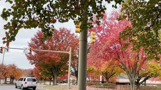 Fall Season in Columbia Maryland