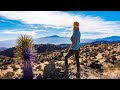 Hiking Joshua Tree - Panorama Loop Trail