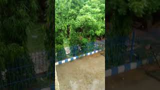 Baqai institute of hematology - august raining