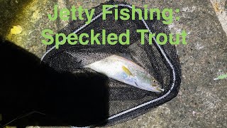 Surfside Jetty Fishing:Blue runner and speckle