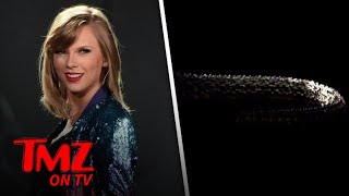 Taylor Swift S Comeback Tmz Tv