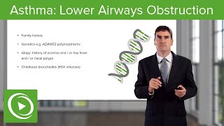 Asthma: Lower Airways Obstruction – Airway Diseases | Lecturio