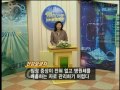 지금은자격증시대 미용 실기