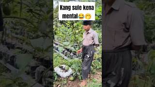 Kang Hassan Sule Kena Mental😂 #funny #comedyterbaru #comedy #shorts