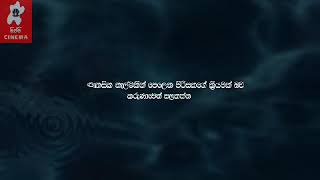 හොර පොල් ගුණයා