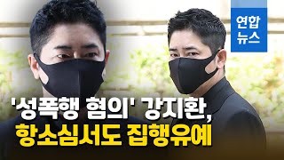 성폭행 혐의 강지환, 항소심서도 징역형 집행유예 / 연합뉴스 (Yonhapnews)