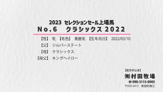 【セレクションセール2023】No.6・クラシックス2022