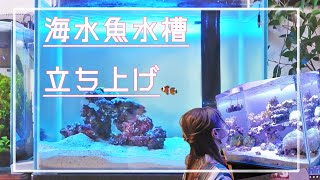 アクアリウム ウォールロックレイアウト コリドラス