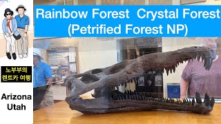 아리조나 유타주 여행7편  Jasper Forest,  Crystal Forest,  Rainbow Forest Trail Pueblo House,,Rainbow Museum