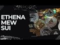 [ALTCOIN UPDATE]🚨MARKET UPDATE🚨QUICK-UPDATE BITCOIN!! | ETHENA | MEW | SUI TOKEN | #DYOR