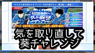 たたかえドリームチーム 日本代表第二弾！葵を狙ってみる！