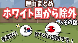 【解説】日本、韓国をホワイト国から除外まとめ【ポーランドボール】#03