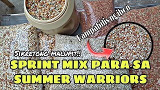 SPRINT RACE MIX PARA SA MGA PANG SUMMER WARRIORS, HIGH ON CARBOHYDRATES AND FATS.