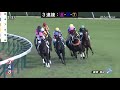 【競馬攻略】確率論で勝つ！昨日１回しか的中していない馬連１ ３を狙い撃ち！　2020.11 15　阪神競馬　東京競馬　福島競馬　ＪＲＡ