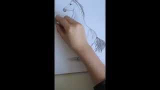 Drawing a rearing horse