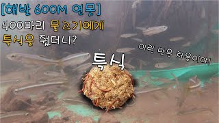 400마리 물고기에게 밥주는 날! 연못 물고기 키우기, 천렵, 낚시, 떡밥, 사료, 만들기