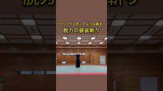 映画のような派手な刀捌きは外来拳法。質素な剣術こそが日本の文化！詳しくは「名古屋古武術研究会」で検索！(https://kobujutu.fc2.net) #shorts #古武術 #合気道