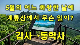 (갑사→동학사) 5월의 어느 화창한 날에 계룡산에서 무슨 일이?