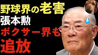 張本勲が五輪ボクシング女子を軽蔑！ボクシング会が抗議！女性蔑視や差別発言！入江選手に失礼！TBSサンデーモーニング【Masaニュース雑談】