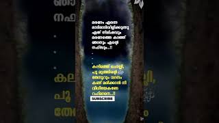 മരണം#status #youtubeshorts#deen #shortvideo #death #maranam_maranaantharam #malayalam #shorts #short