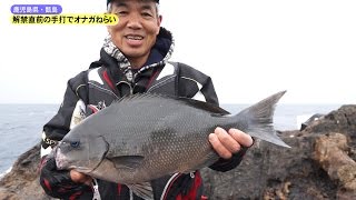 解禁直前の手打でオナガねらい　鹿児島県甑島　～新増初生