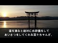 【感動する話】ある日、亡き娘にそっくりの女性の命を救った。お金に困っている彼女に大金を渡したが、その後彼女はなんと… いい話　泣ける話