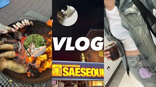 [VLOG]#4 풀빌라에서 여자 셋이 소주 13병 | 새서울오프닝파티 | 음주 브이로그 | 고양이의 축복 | 휴학생 | 백수의 일상 | 종각가요리믹스