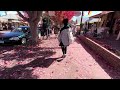 adelaide hahndorf german town autumn colors 4k australia walk tour 2024