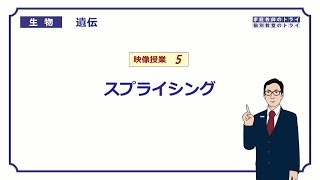 【高校生物】　遺伝5　スプライシング（１２分）