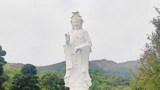 Tsz Shan Monastery|Guan Yin Patung Tai Po