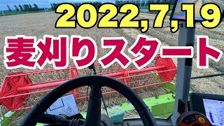 2022年7月19日　麦刈りスタート　ブロッコリー植える