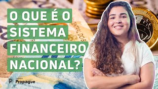 Entenda o Sistema Financeiro Nacional e o que faz o Banco Central