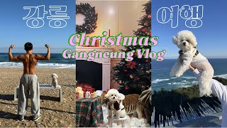 [VLOG] 크리스마스 강릉 여행 | 세인트존스호텔 | 주문진읍 | Xmas Gangneung Trip | St. John's Hotel | Guardian Filming Spot